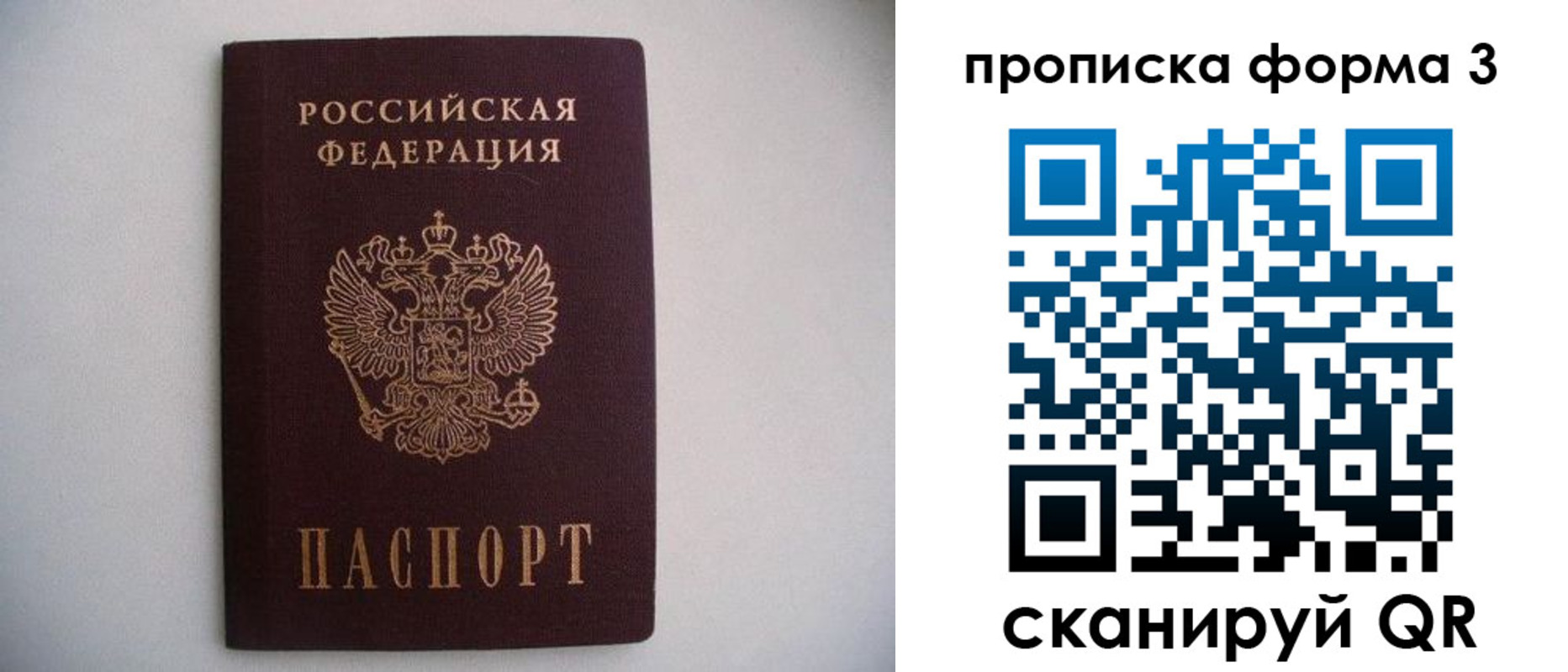 прописка в Светлограде
